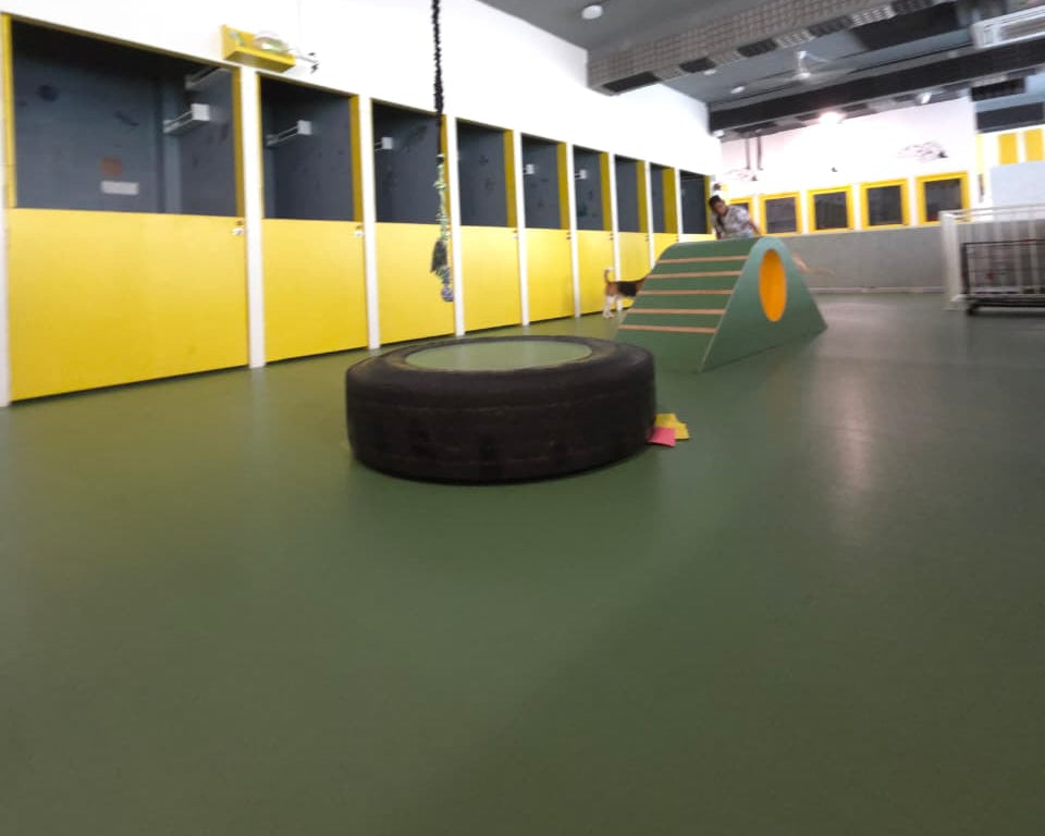 Indoor dog playground with tire swing and colorful equipment